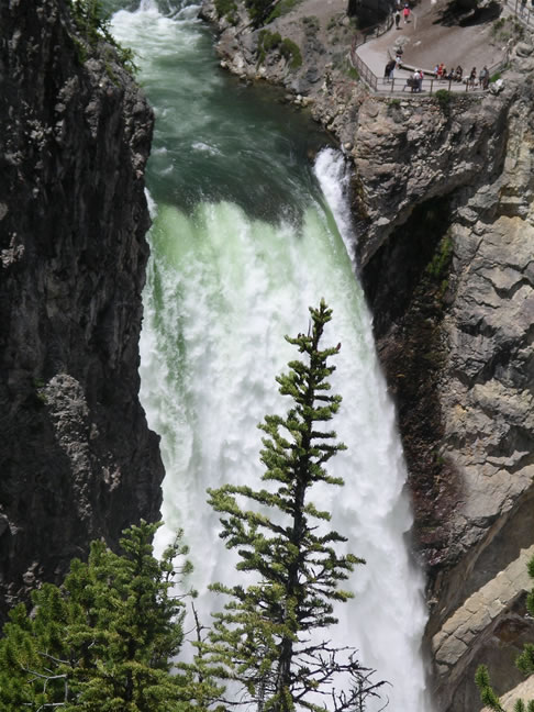 images/G- Upper Falls Viewpoint. (2).jpg